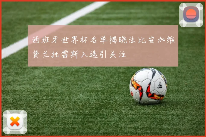 西班牙世界杯名单揭晓法比安加维费兰托雷斯入选引关注