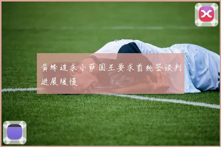 黄蜂追求小萨国王要求首轮签谈判进展缓慢